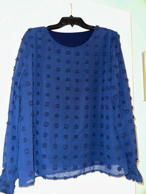 Amazon Women's Royal Blue Textured Pom-Pom Long Sleeve Blouse